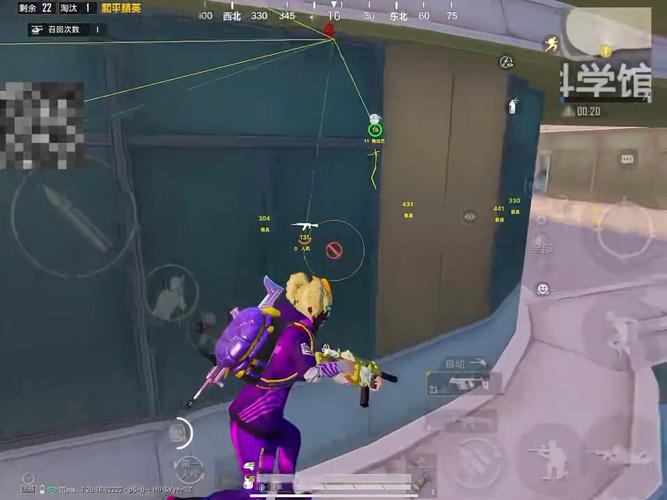 和平精英辅助【神女】